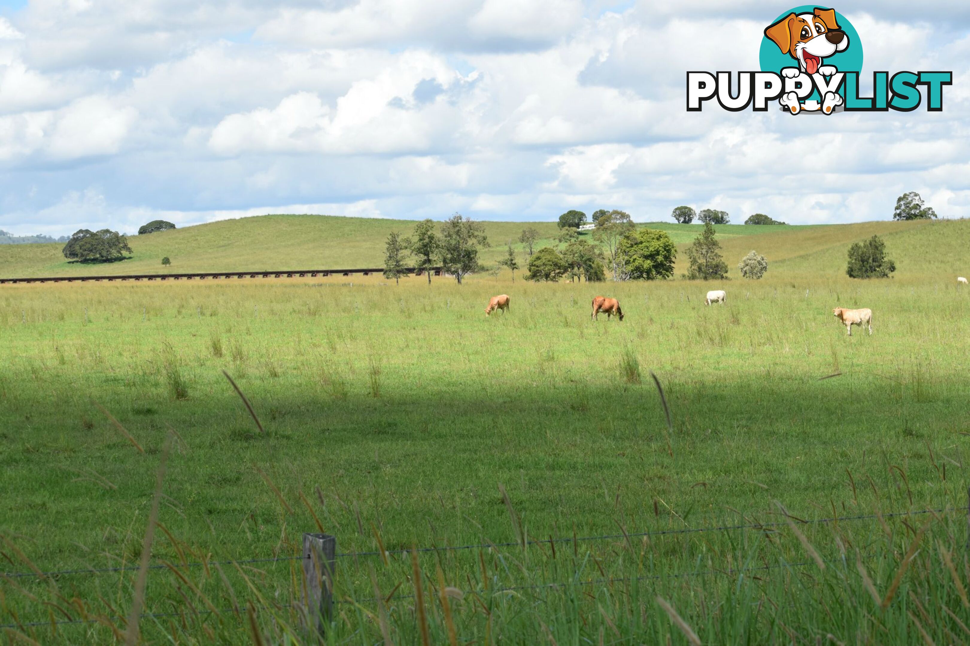 Lot 321 Summerland Way Kyogle NSW 2474