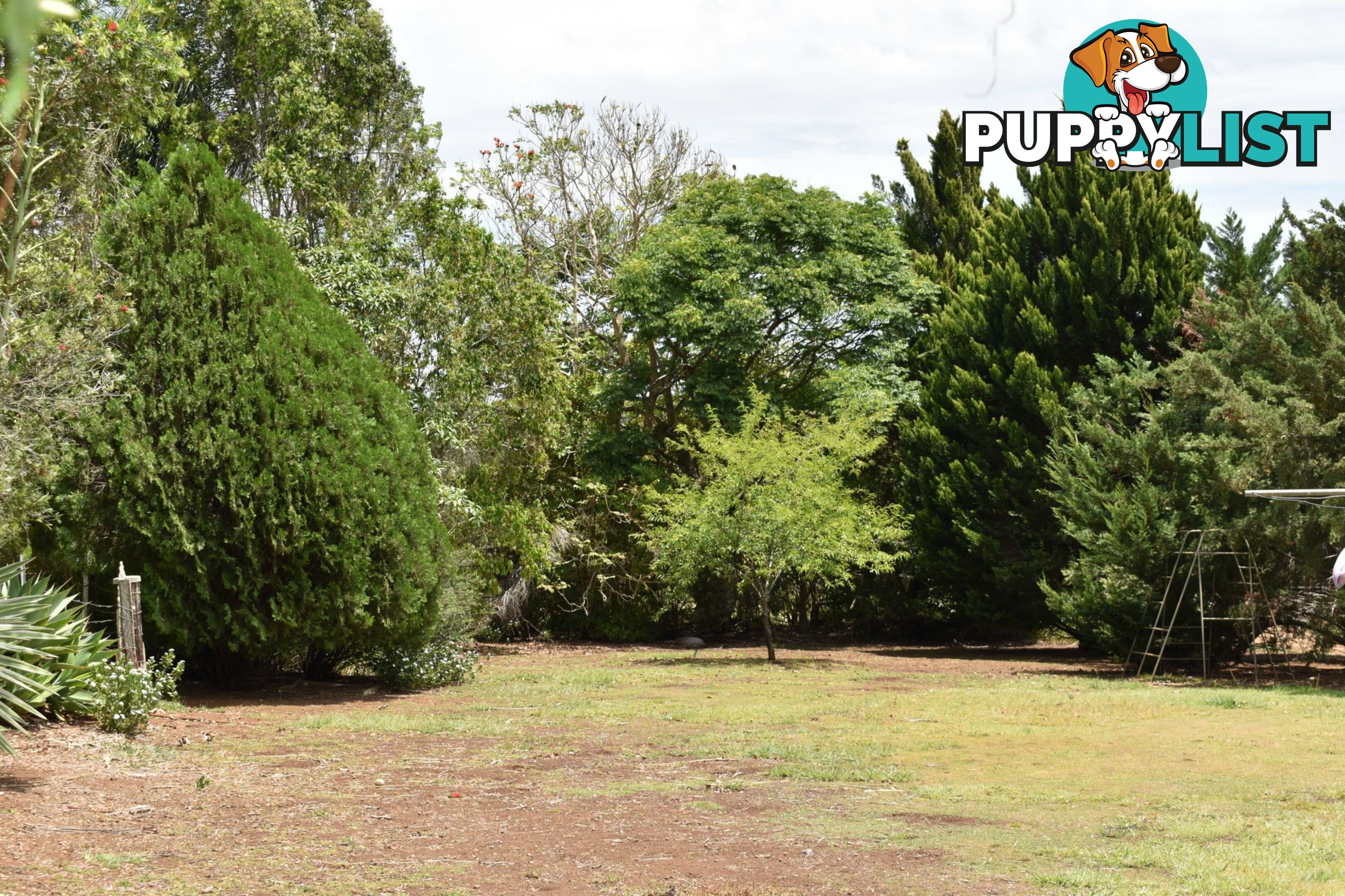 Lot 321 Summerland Way Kyogle NSW 2474