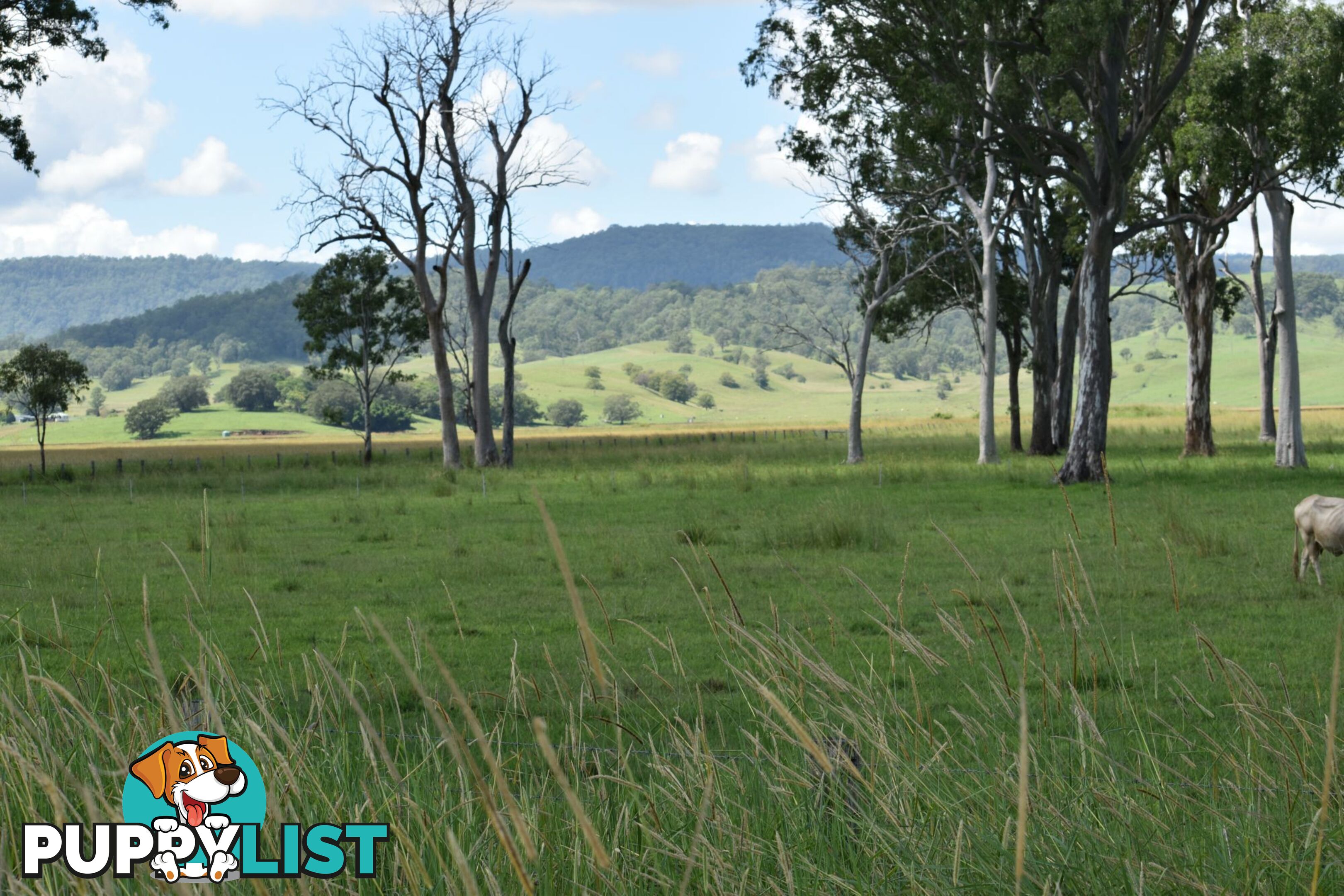 Lot 321 Summerland Way Kyogle NSW 2474