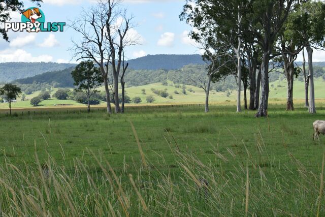 Lot 321 Summerland Way Kyogle NSW 2474