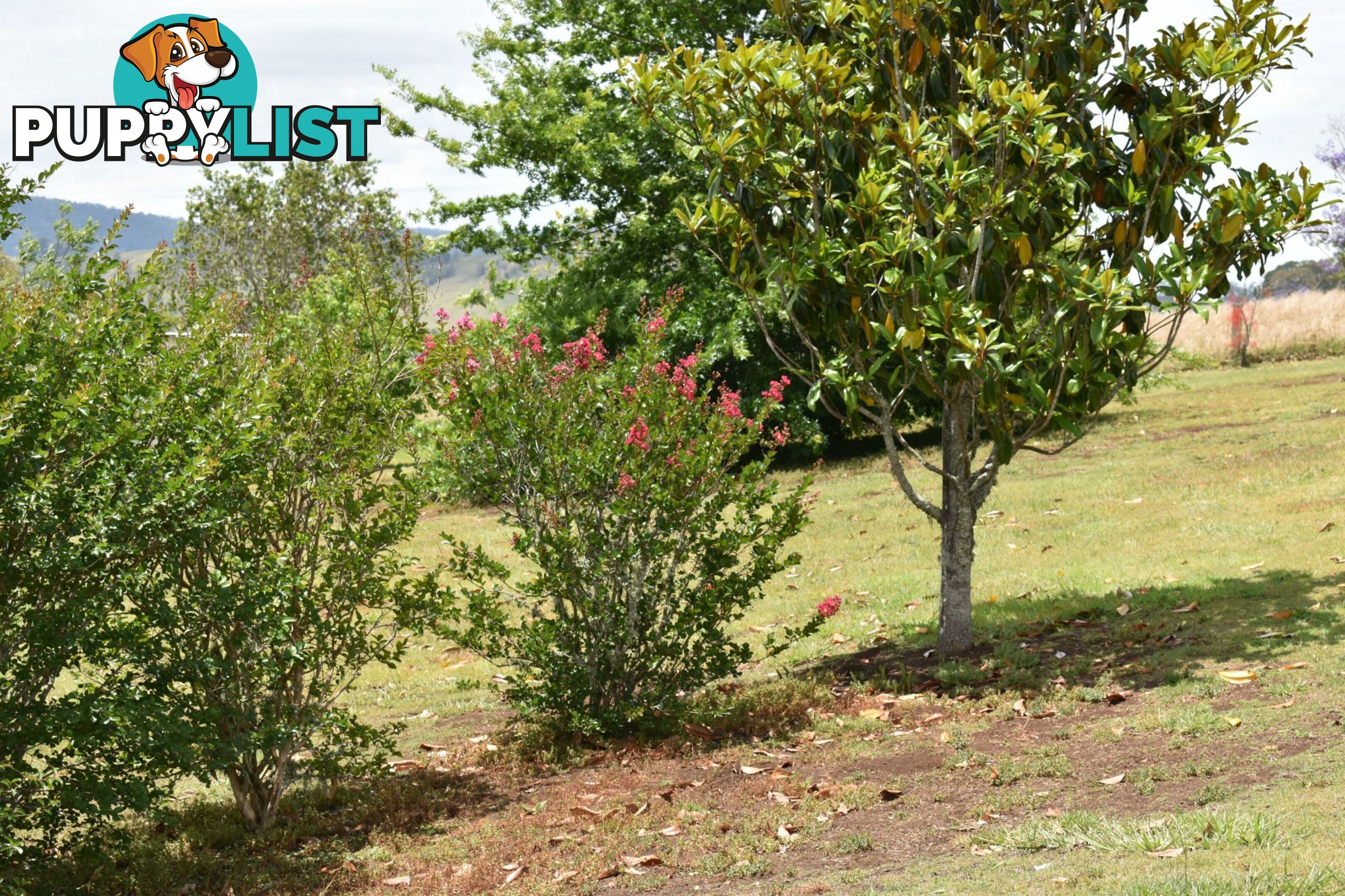 Lot 321 Summerland Way Kyogle NSW 2474