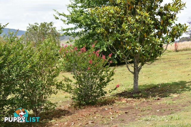 Lot 321 Summerland Way Kyogle NSW 2474