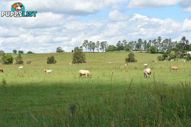 Lot 321 Summerland Way Kyogle NSW 2474