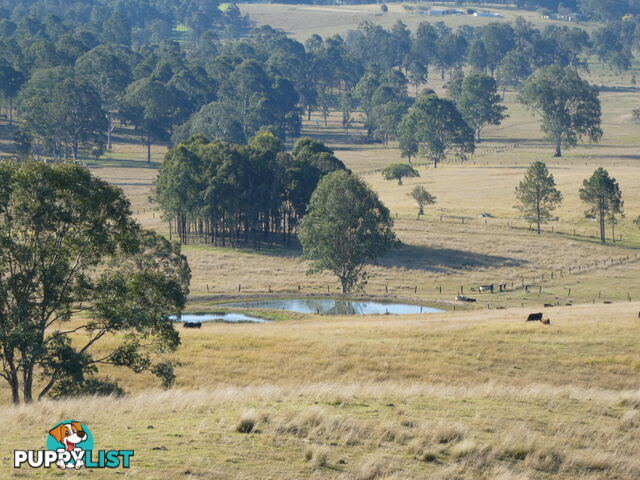 Leeville NSW 2470