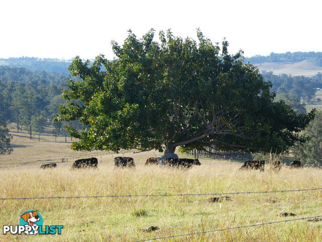 Leeville NSW 2470