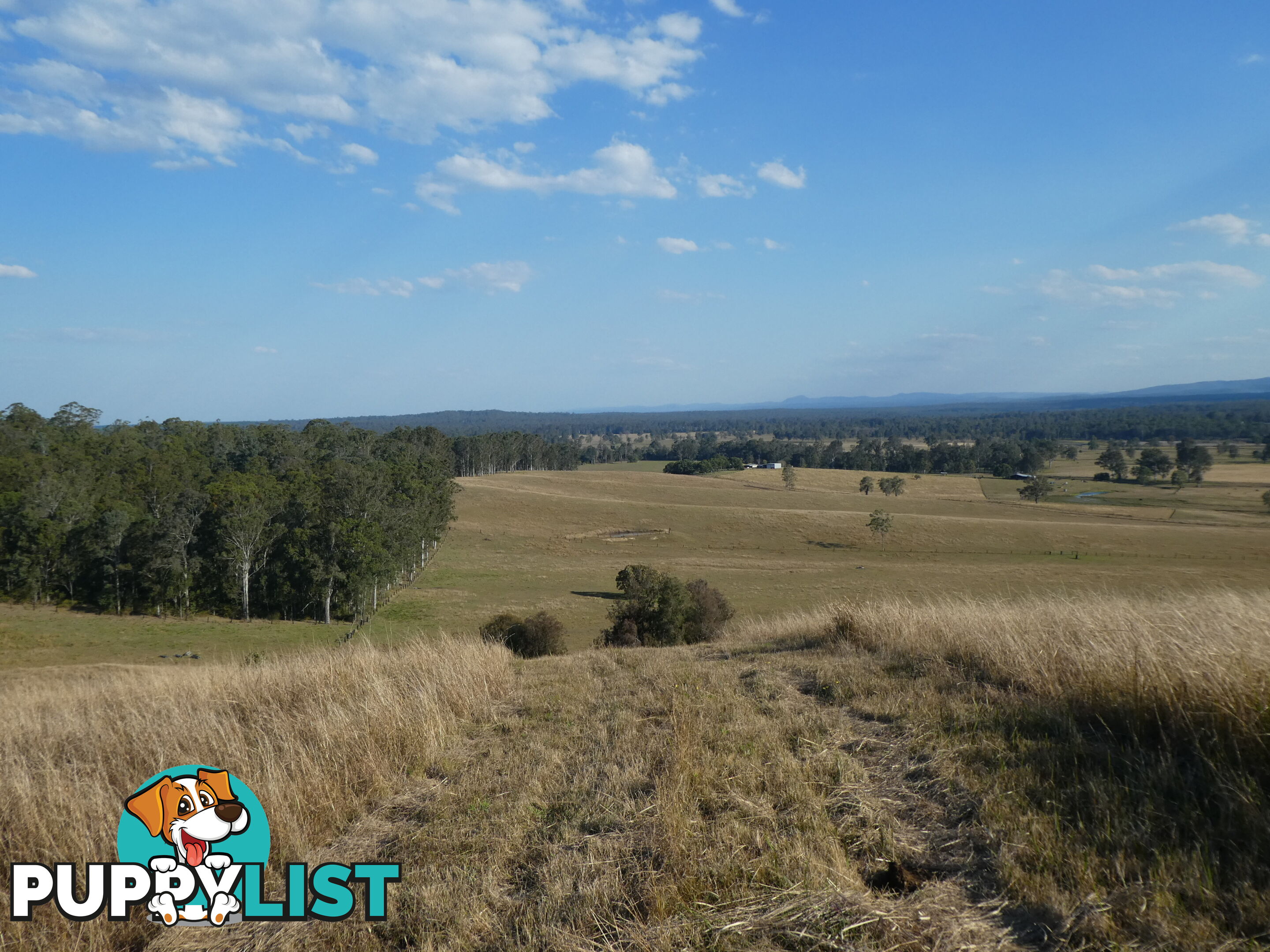 Leeville NSW 2470