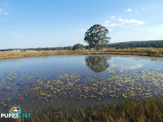 Leeville NSW 2470