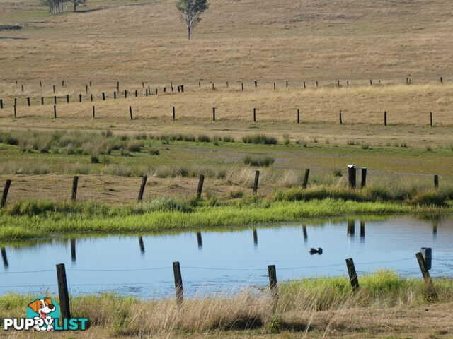 Leeville NSW 2470