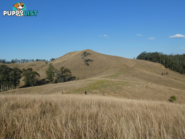 Leeville NSW 2470