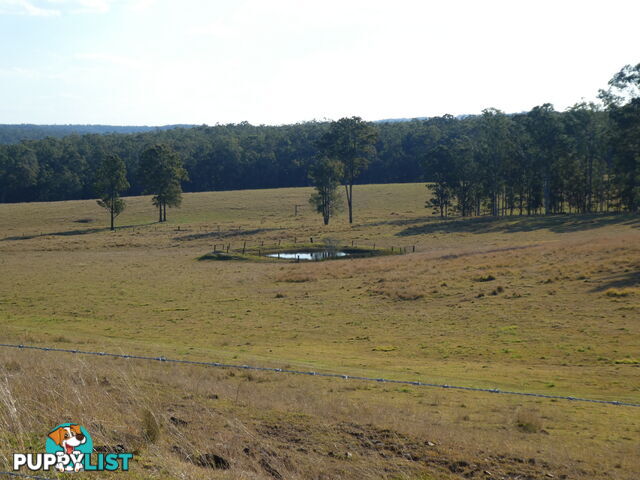 Leeville NSW 2470