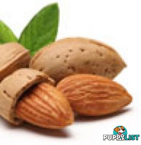 Sweet Almond Oil - Green Living Australia - MPN: 1227-ALL