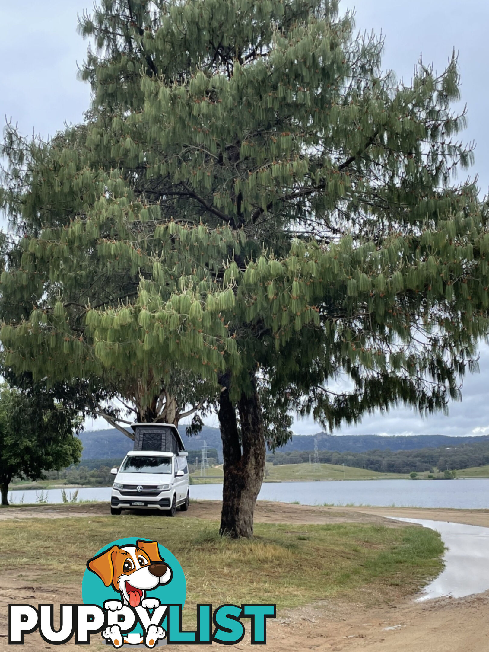 2021 Volkswagen T6.1 Transporter - 4 MOTION