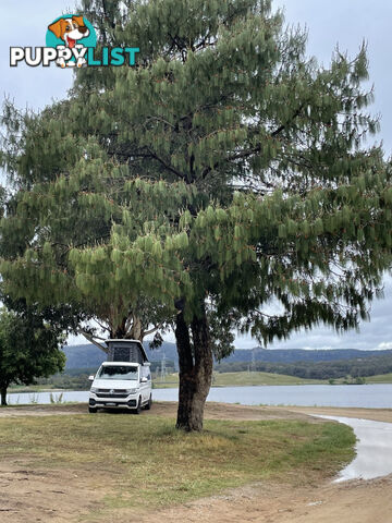 2021 Volkswagen T6.1 Transporter - 4 MOTION
