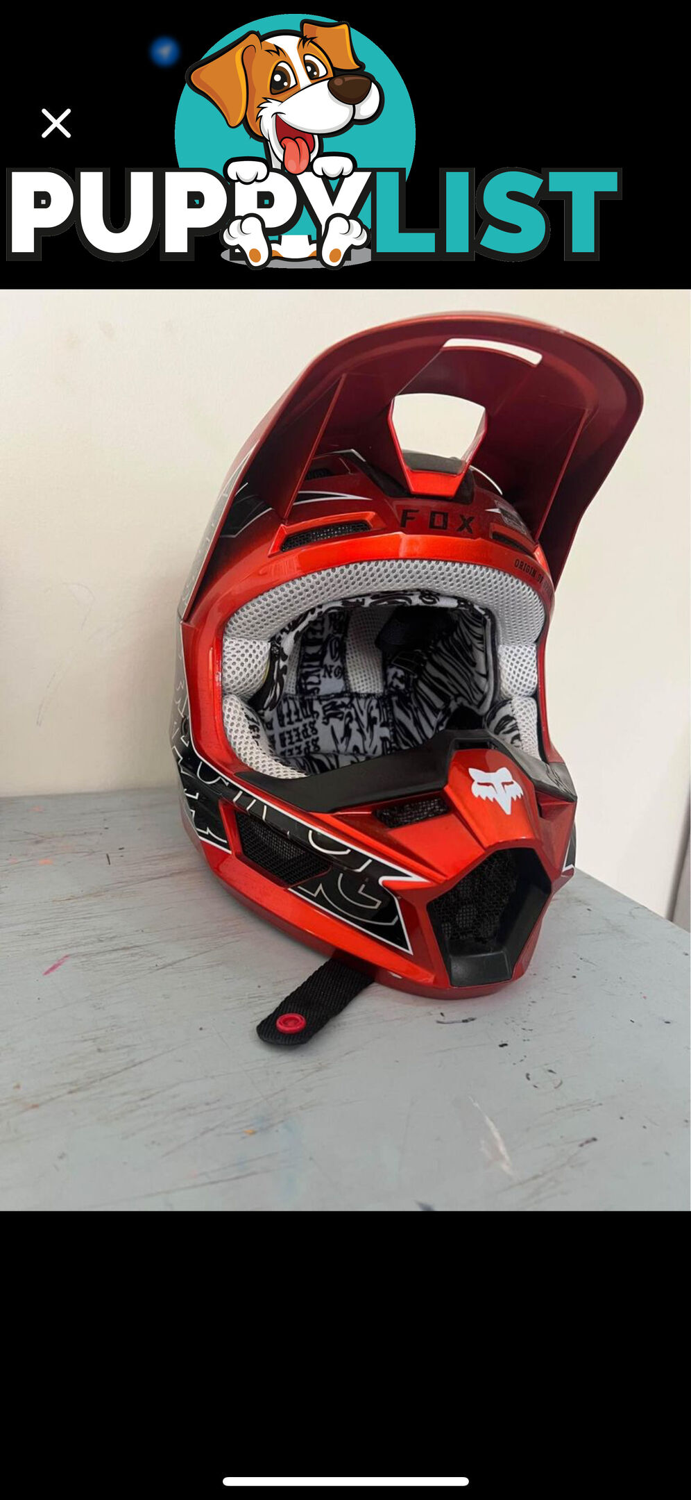 Kids Fox Helmet