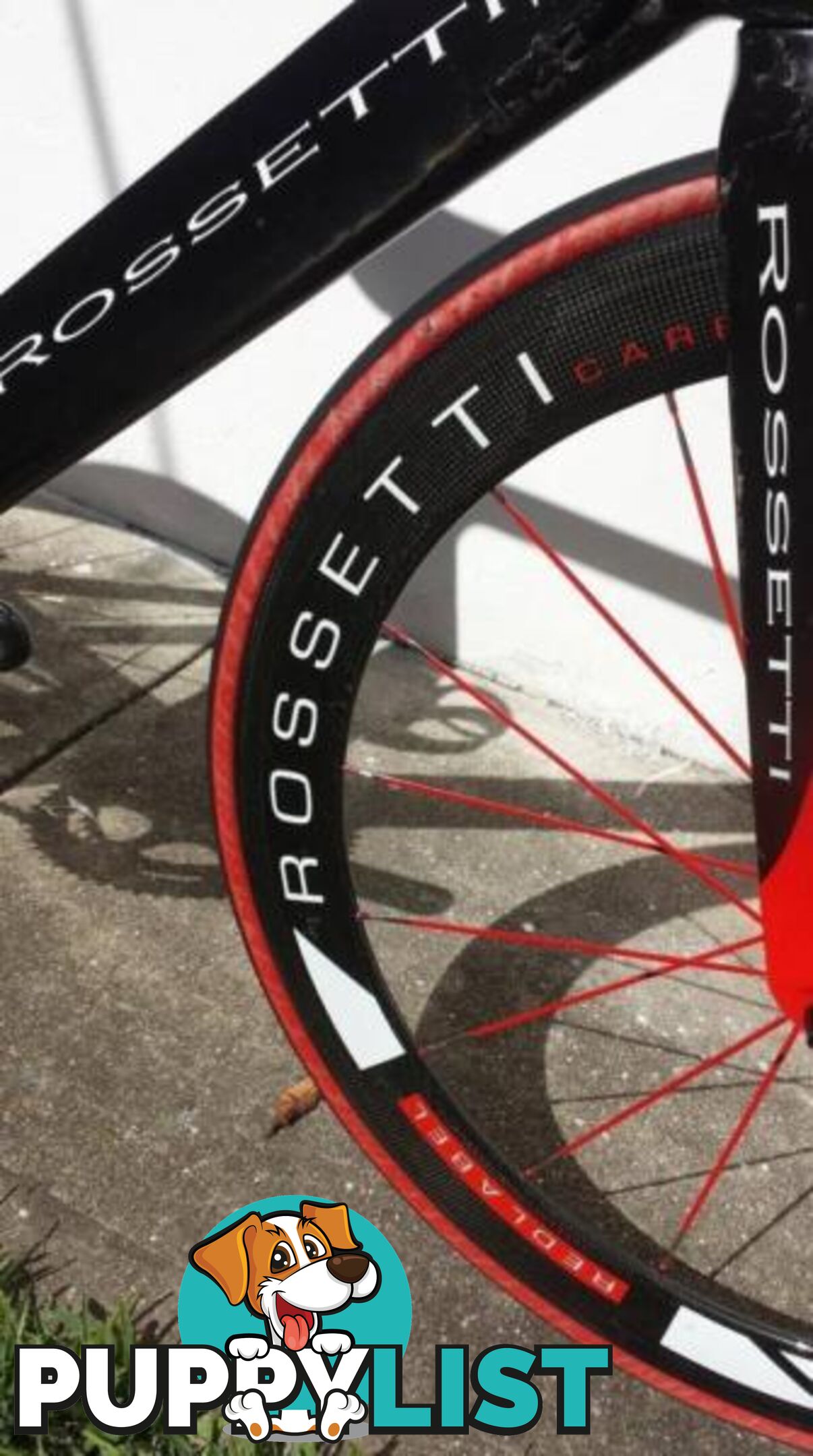 Rossetti Pantera! M/L. Sram Red 10s. Red Label Carbon Clinchers.