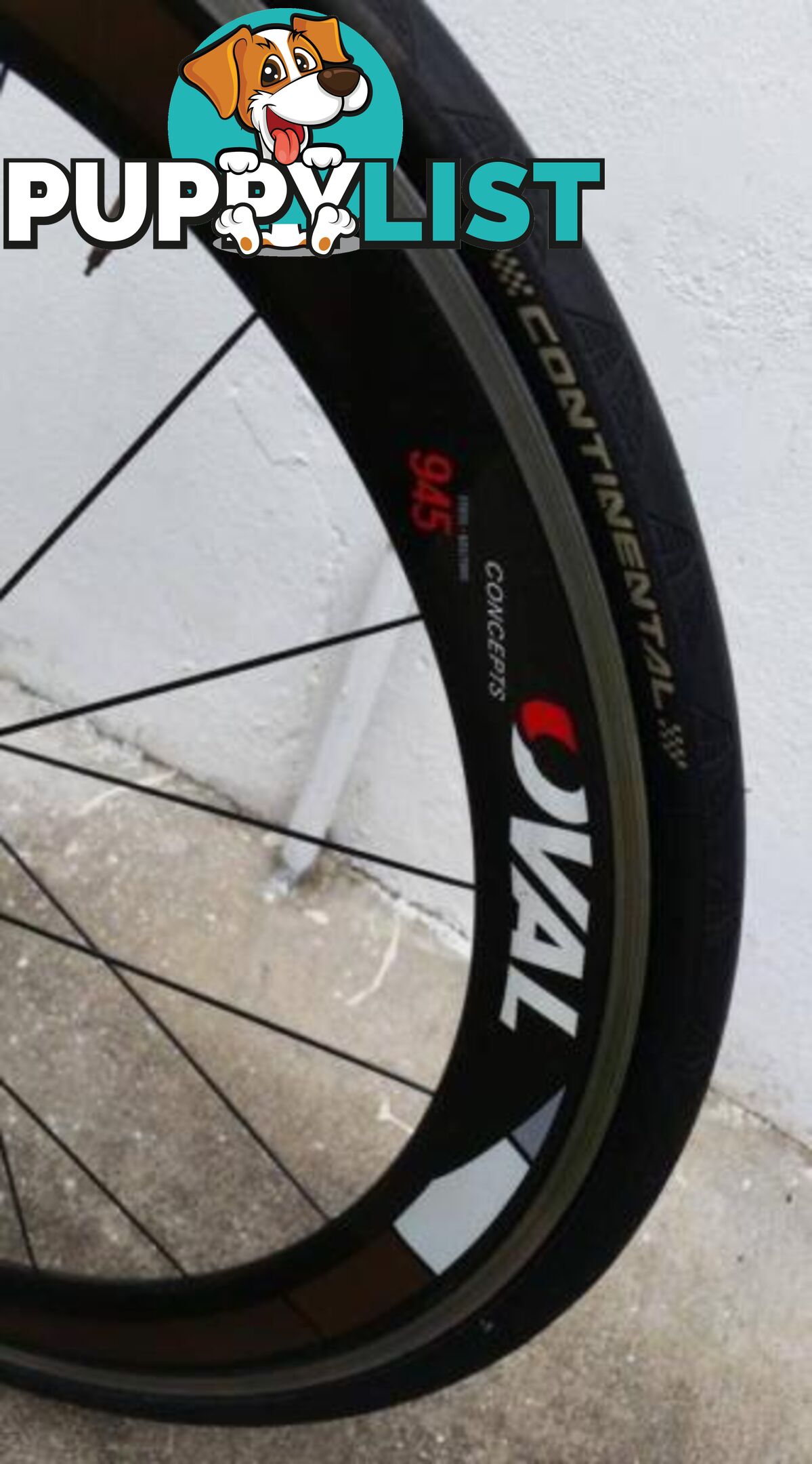 Full Carbon (Venge!) XL. 105 10s! Full Carbon Clinchers. As NEW!