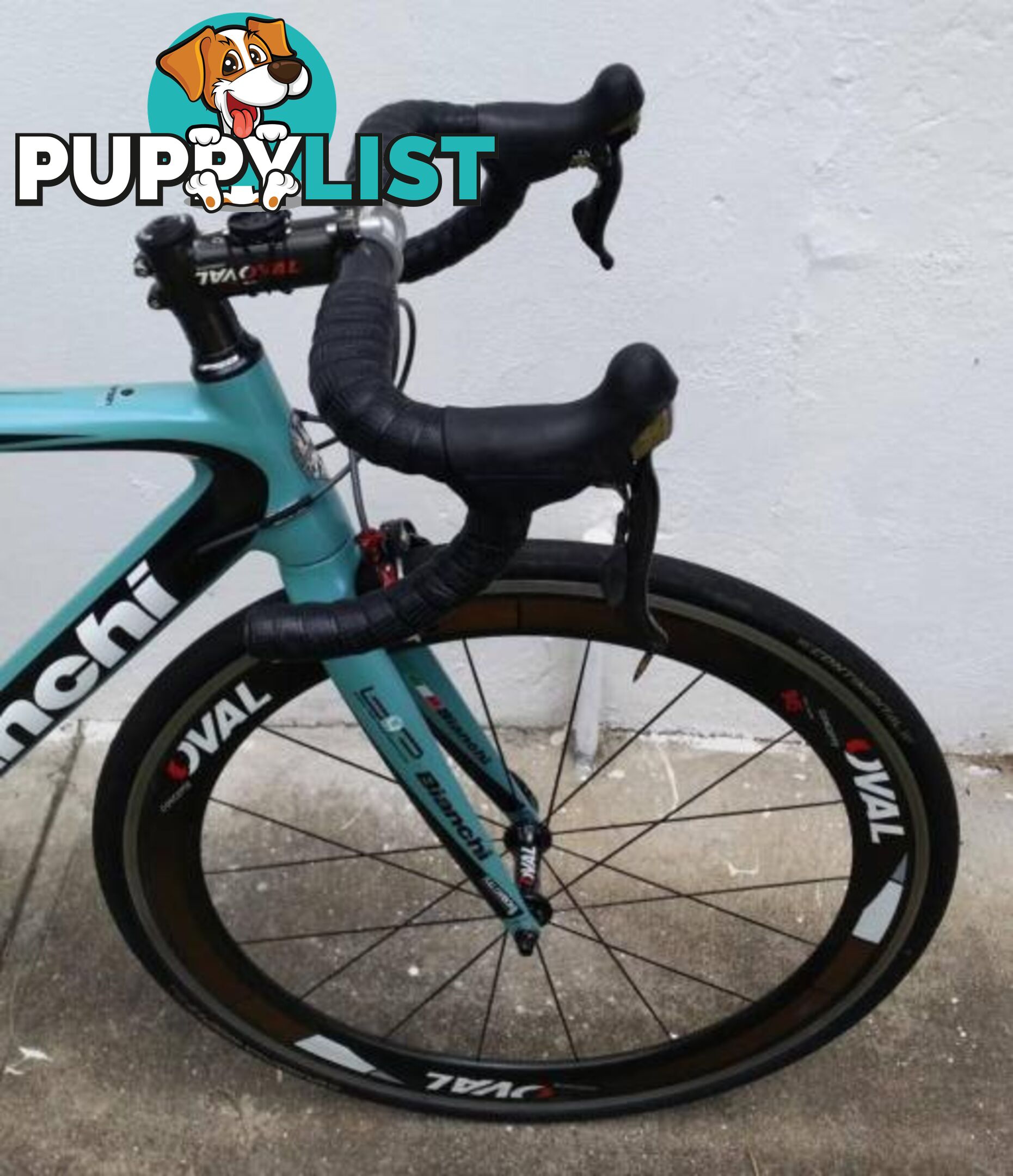 Bianchi Sempre Pro. M. Dura Ace 10s. Carbon Clinchers!