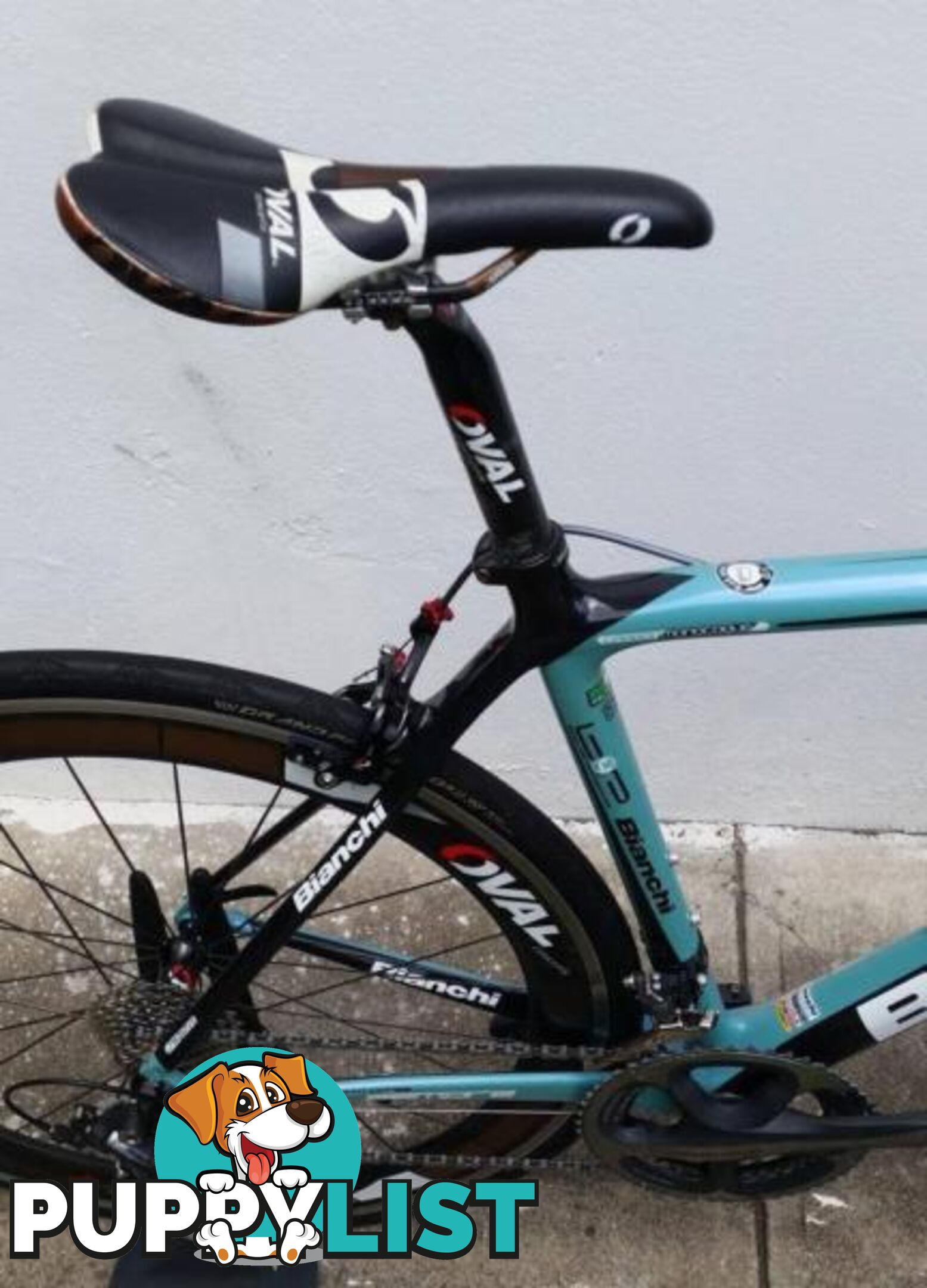 Bianchi Sempre Pro. M. Dura Ace 10s. Carbon Clinchers!