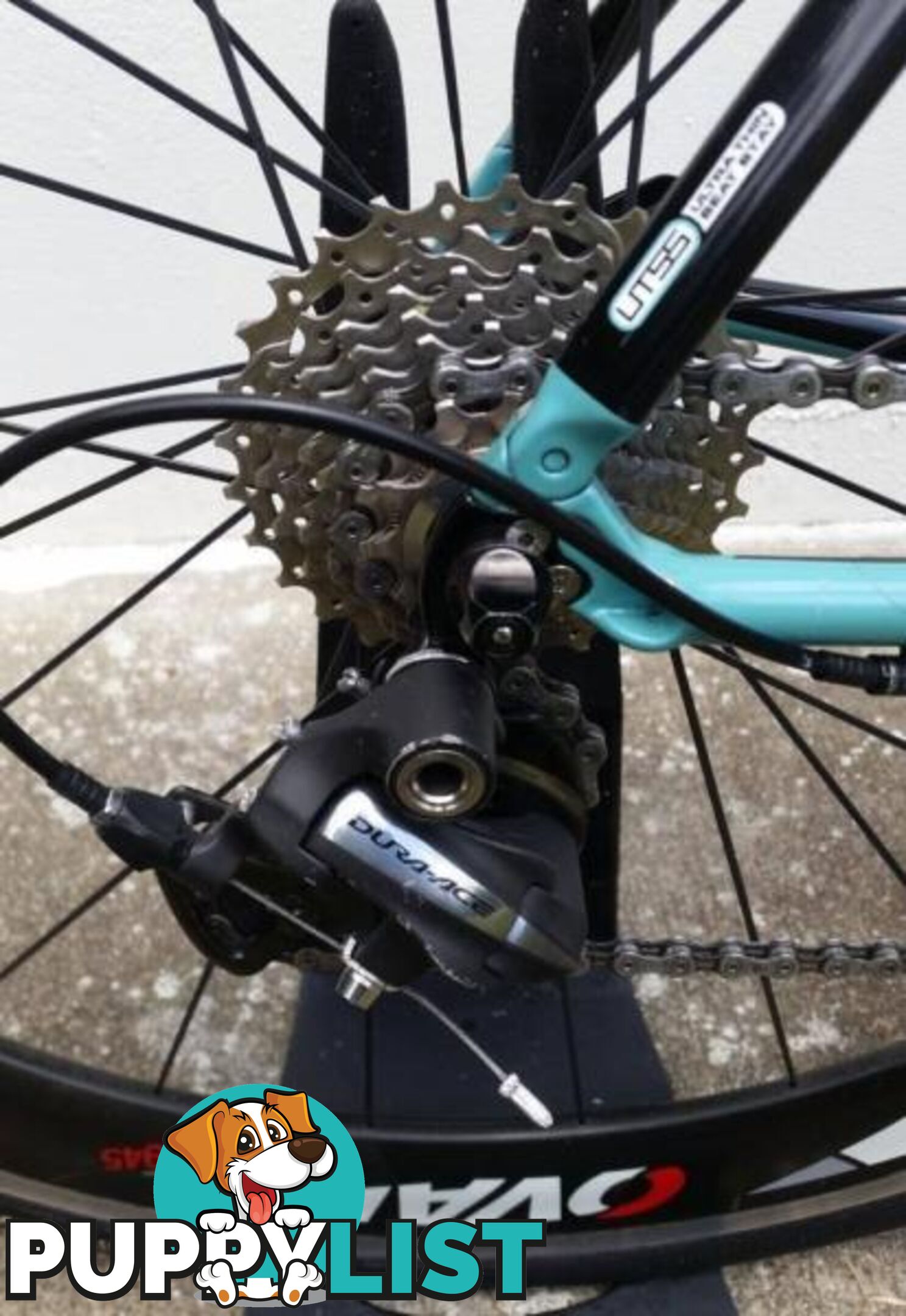 Bianchi Sempre Pro. M. Dura Ace 10s. Carbon Clinchers!