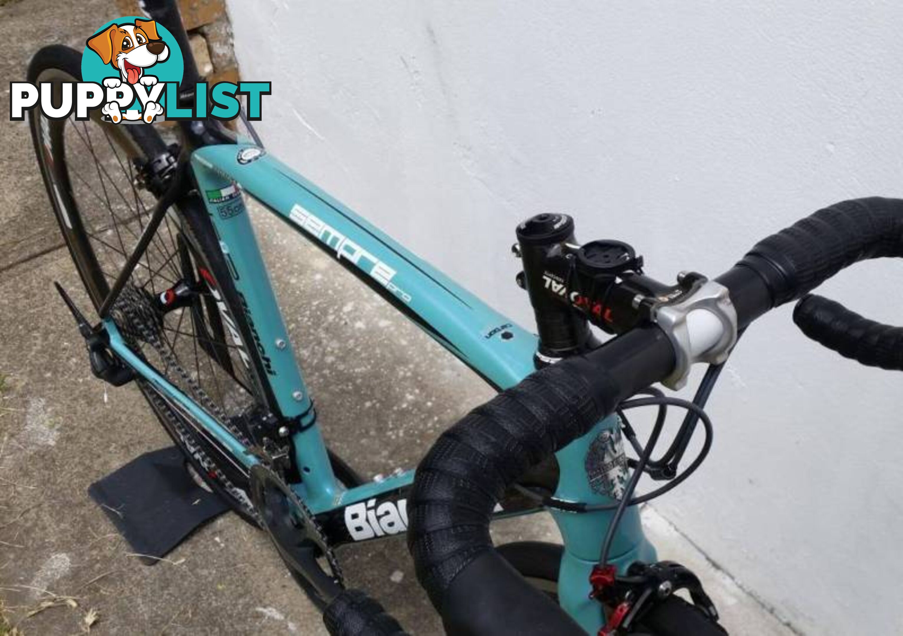 Bianchi Sempre Pro. M. Dura Ace 10s. Carbon Clinchers!