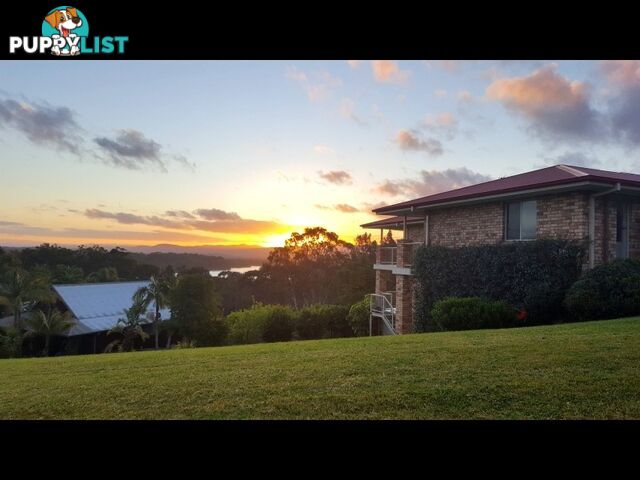 11 Viewpoint Court, Tuross Head 11 viewpoint court Tuross Head, NSW 2537