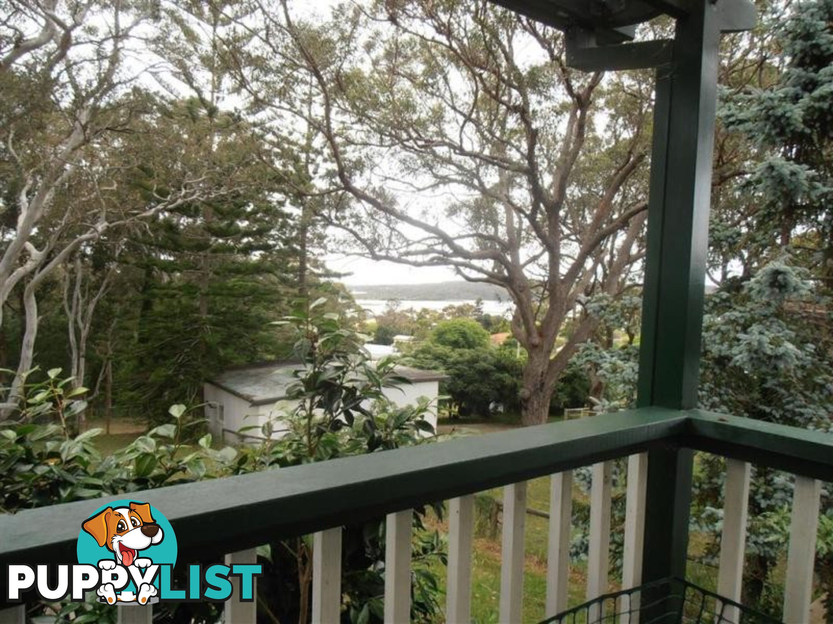 CHATHAM COTTAGE - PET FRIENDLY 64 TRAFALGAR ROAD Tuross Head, NSW 2537