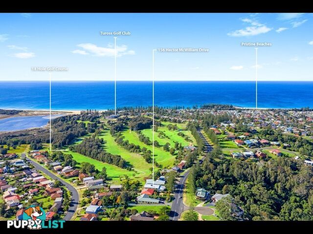 156 HECTOR MCWILLIAM DRIVE Tuross Head, NSW 2537