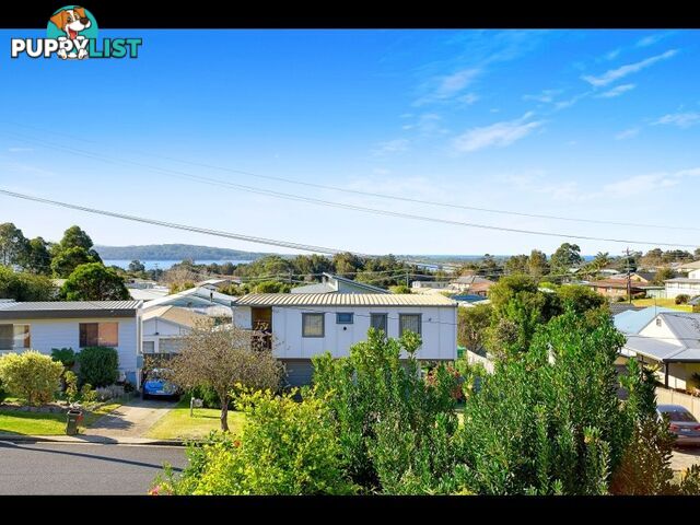 115 COOGEE STREET Tuross Head, NSW 2537