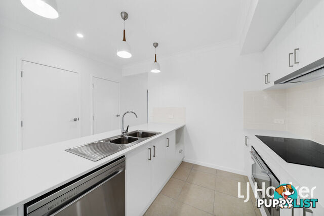 20 Nive Road SOUTH MACLEAN QLD 4280