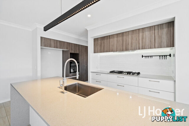 50 Annette Street LOGAN RESERVE QLD 4133