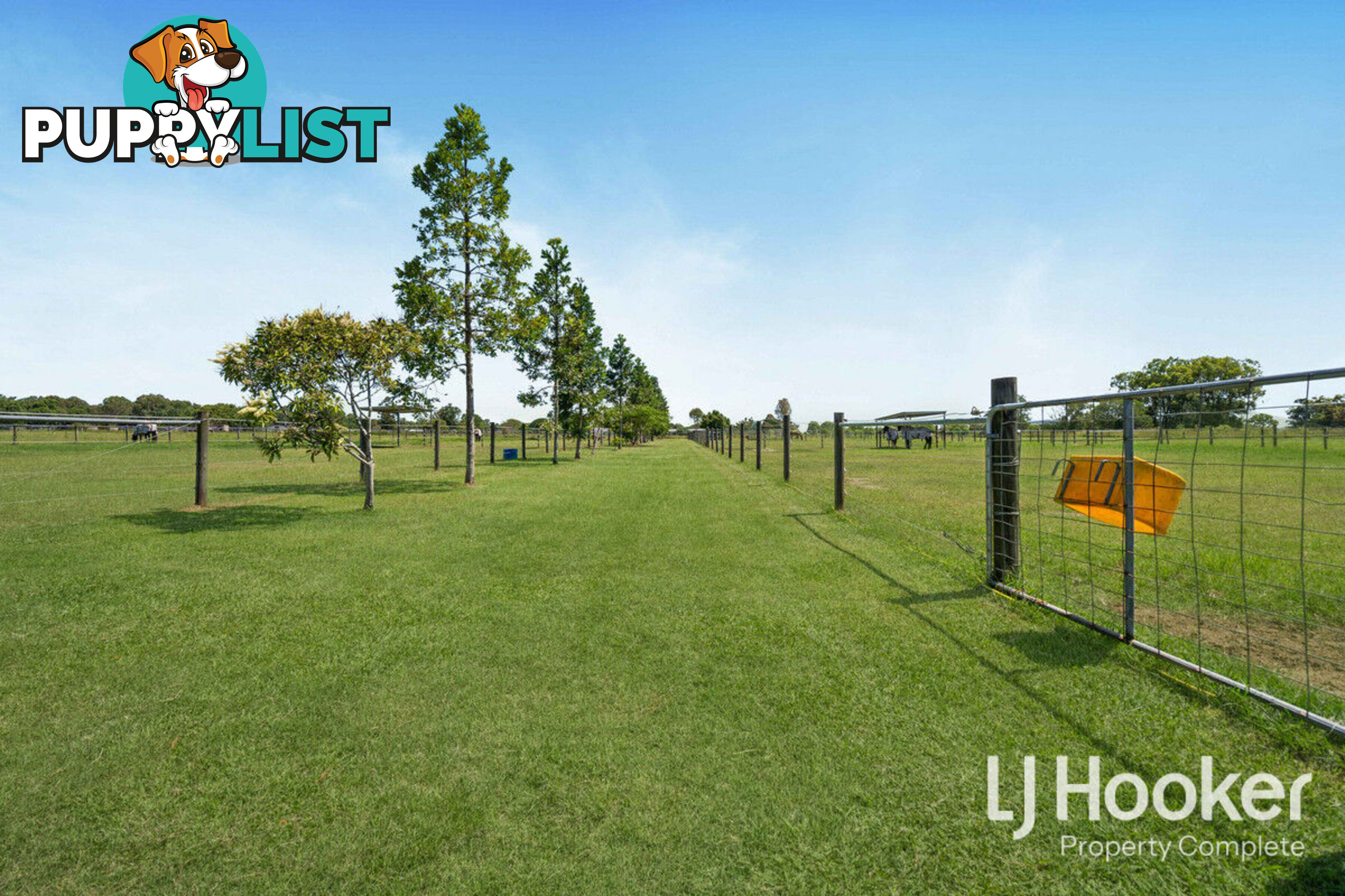 33-37 Cyrus Road VERESDALE QLD 4285