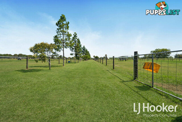 33-37 Cyrus Road VERESDALE QLD 4285