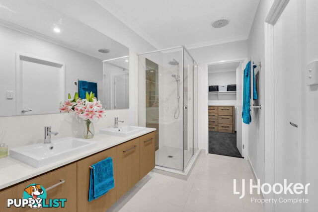 117 Buxton Avenue YARRABILBA QLD 4207