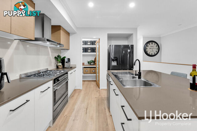 117 Buxton Avenue YARRABILBA QLD 4207
