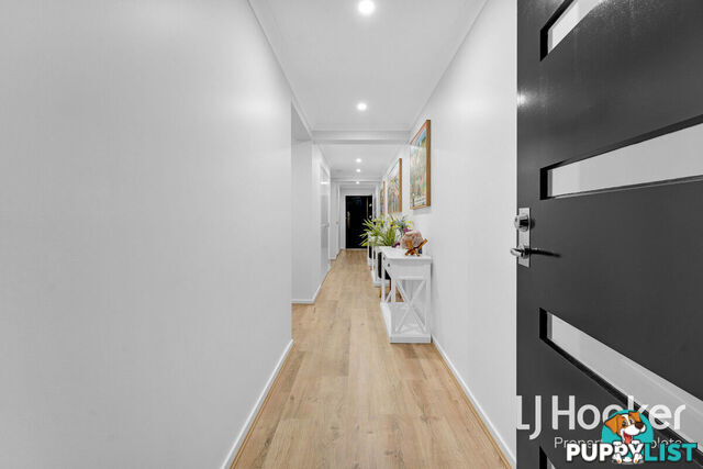 117 Buxton Avenue YARRABILBA QLD 4207