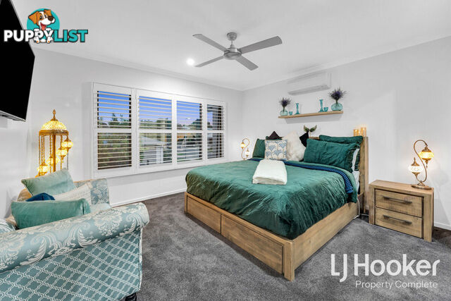 117 Buxton Avenue YARRABILBA QLD 4207