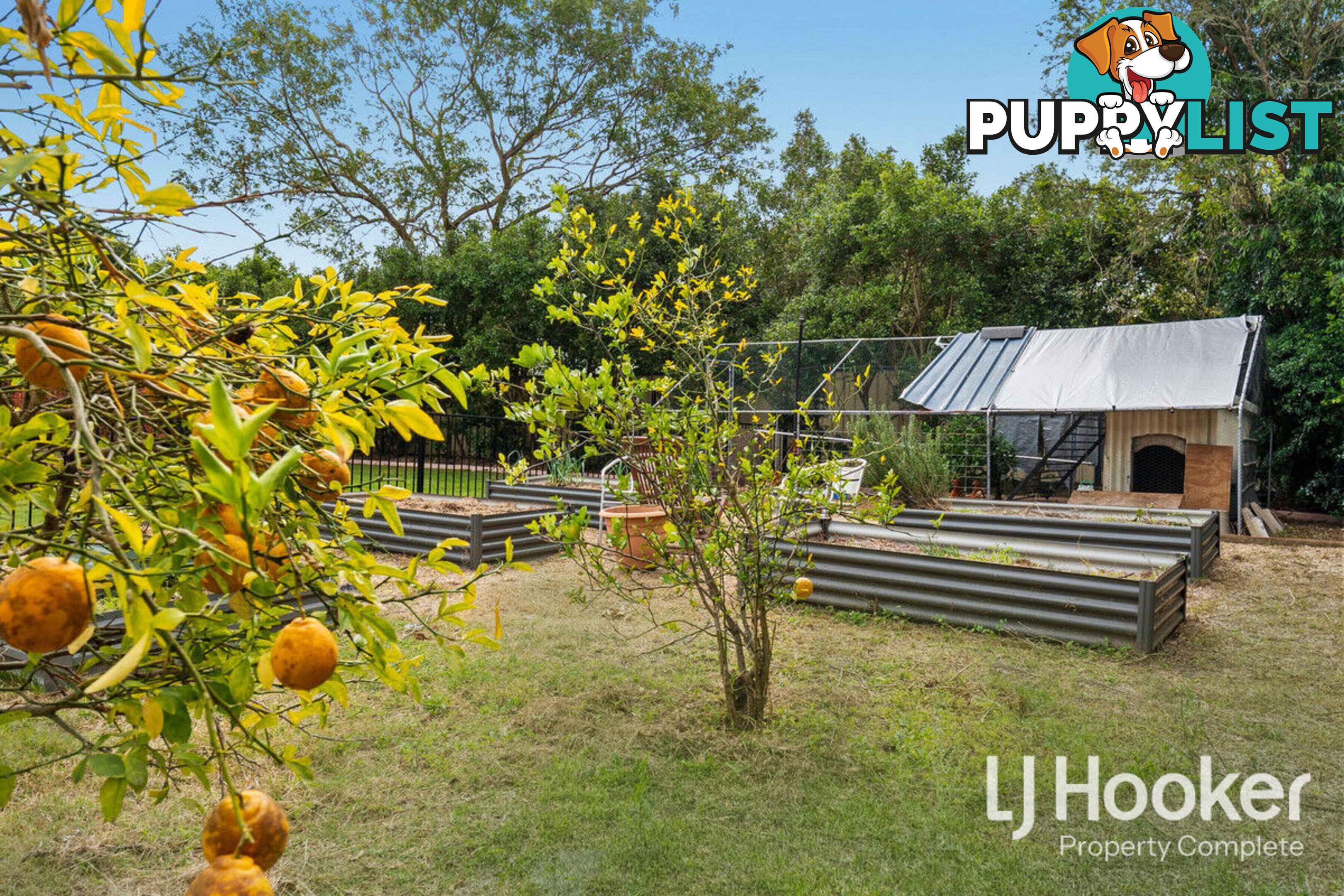 39-41 Blueberry Ash Court FLAGSTONE QLD 4280