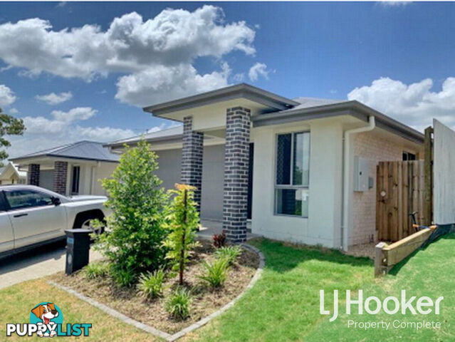 17 Potocki Street LOGAN RESERVE QLD 4133