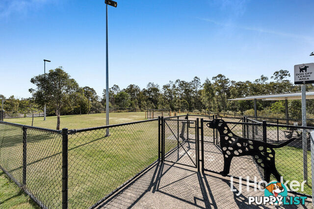 38 Rosewood Circuit YARRABILBA QLD 4207