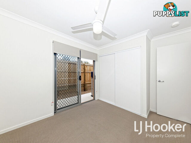 2/19 Wattlebird Court REDBANK PLAINS QLD 4301