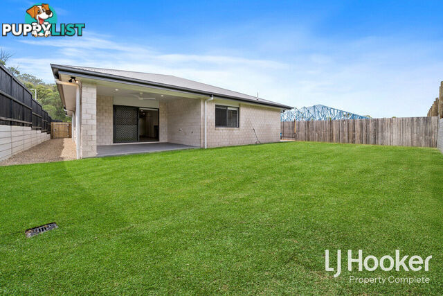 41 Horseshoe Circuit YARRABILBA QLD 4207