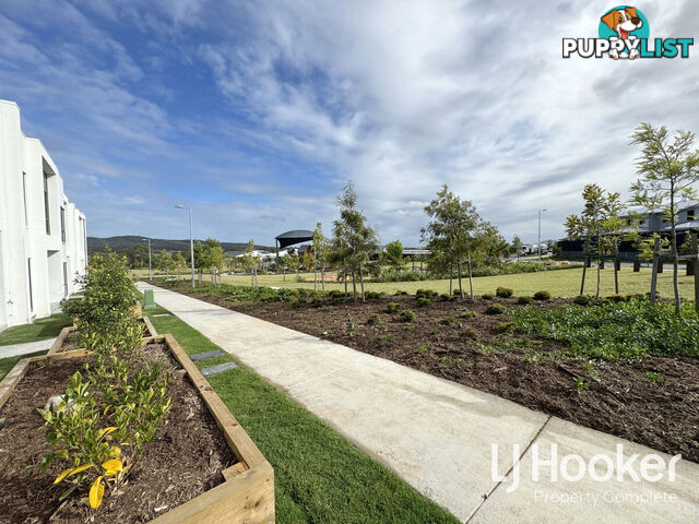 1 Gammon Lane YARRABILBA QLD 4207