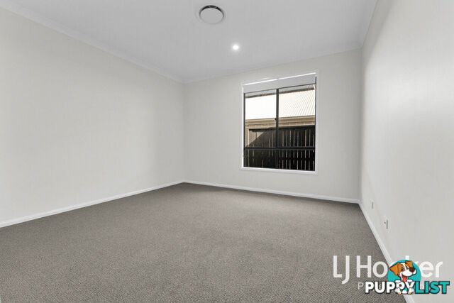 41 Carnavon Street YARRABILBA QLD 4207