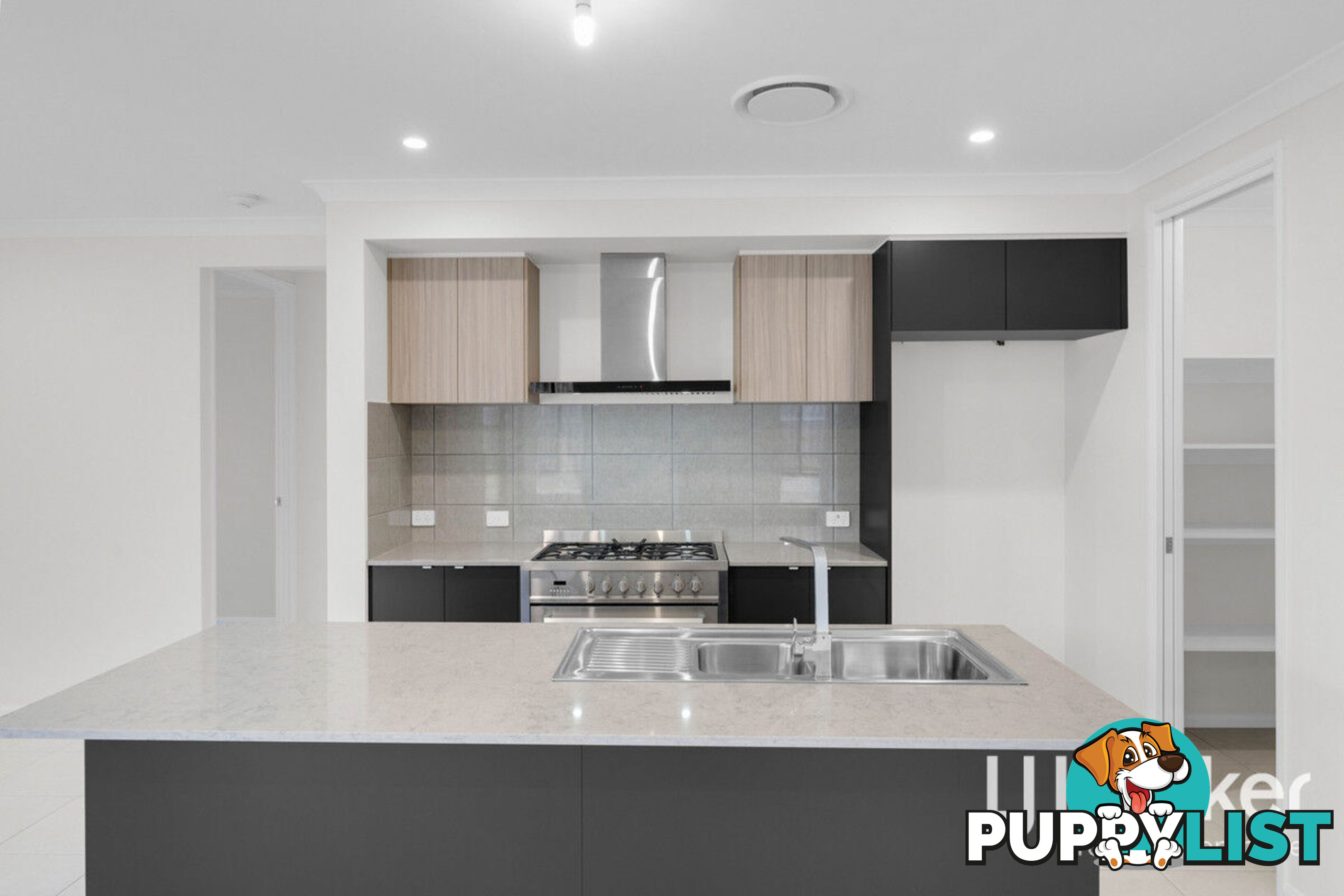 41 Carnavon Street YARRABILBA QLD 4207