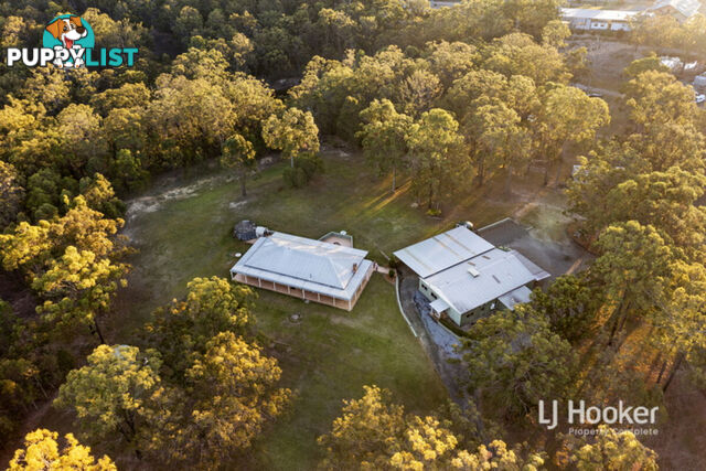 803-843 Quinzeh Creek Road CEDAR CREEK QLD 4207