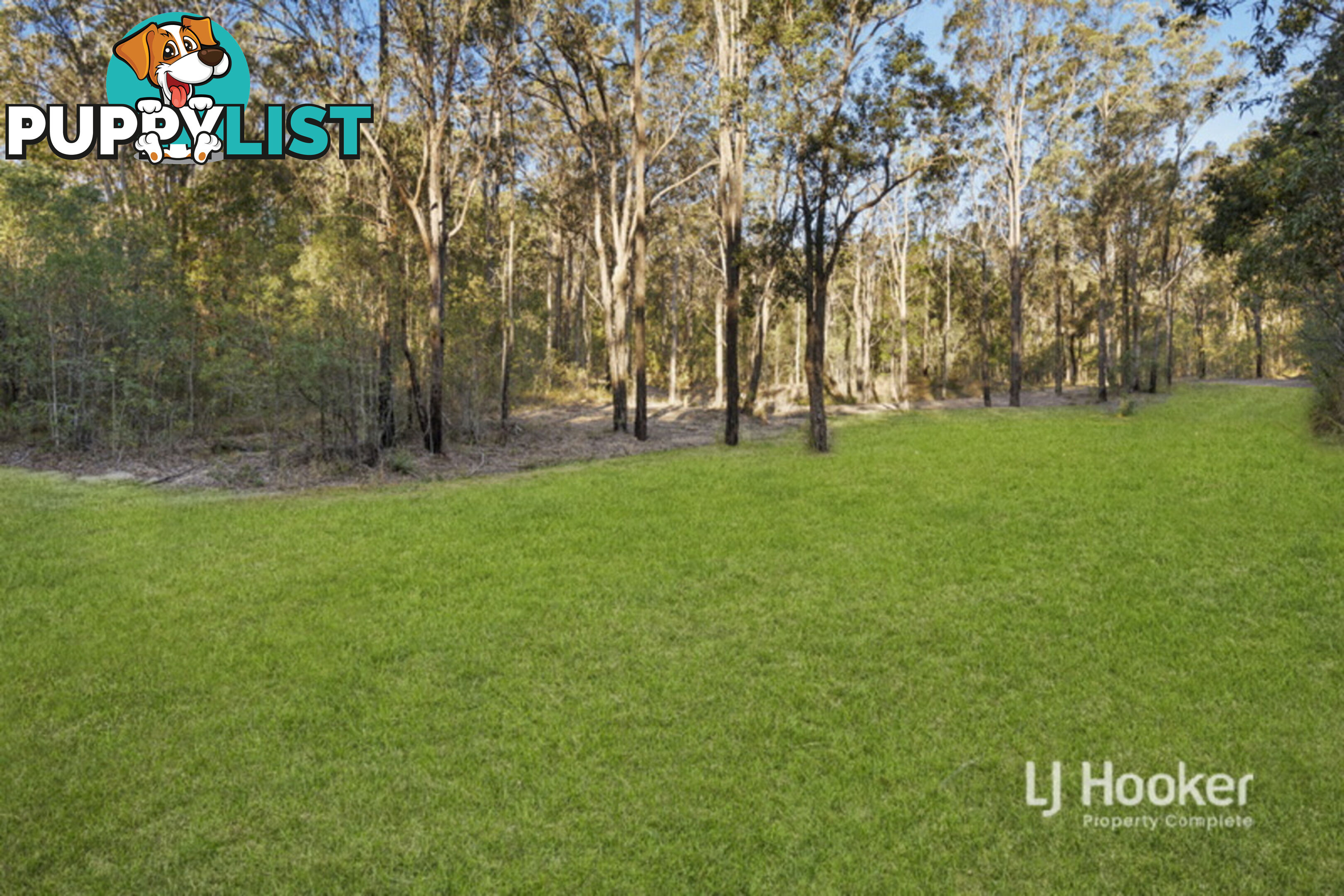 803-843 Quinzeh Creek Road CEDAR CREEK QLD 4207