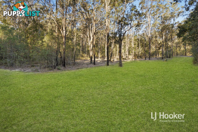 803-843 Quinzeh Creek Road CEDAR CREEK QLD 4207