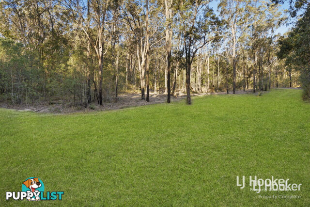 803-843 Quinzeh Creek Road CEDAR CREEK QLD 4207