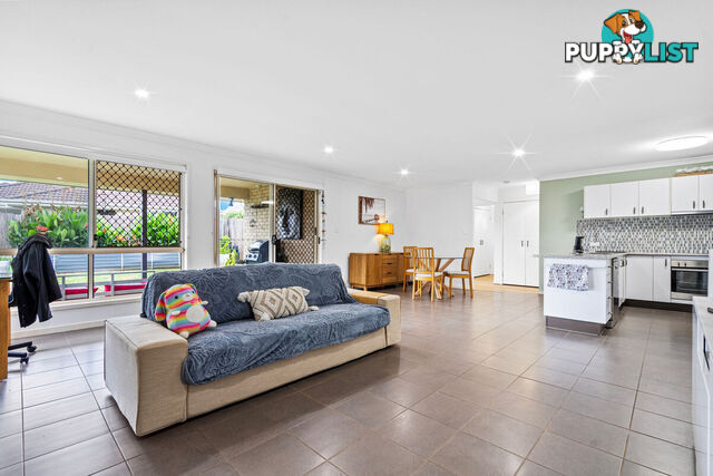 49 Karelyn Drive JOYNER QLD 4500