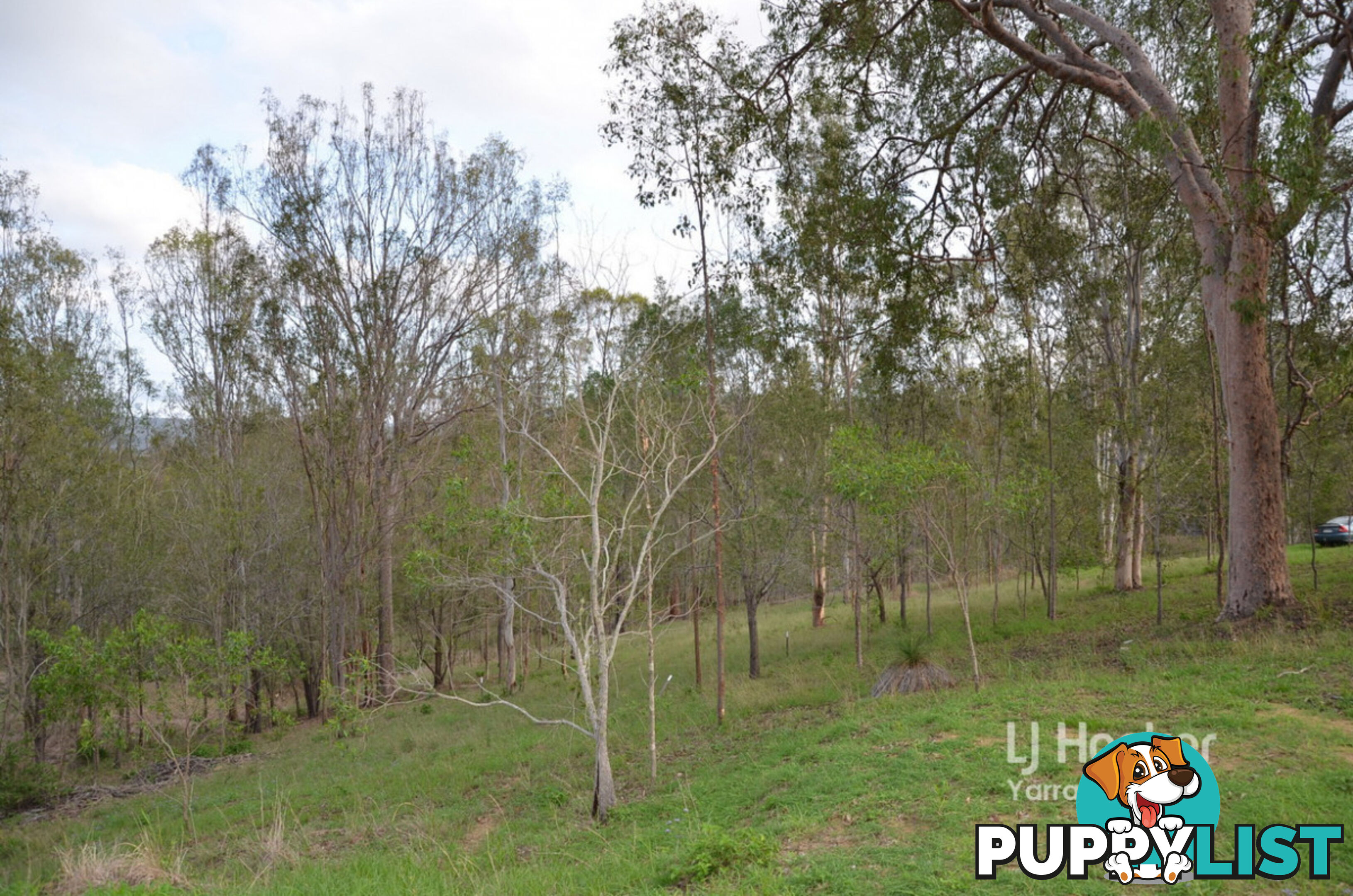 Lot 147/140-146 Stephens Place KOORALBYN QLD 4285